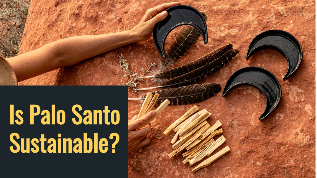 Is Palo Santo Sustainable?